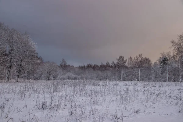 Besneeuwde Veld Bij Zonsondergang Winter Prachtige Hemel — Stockfoto