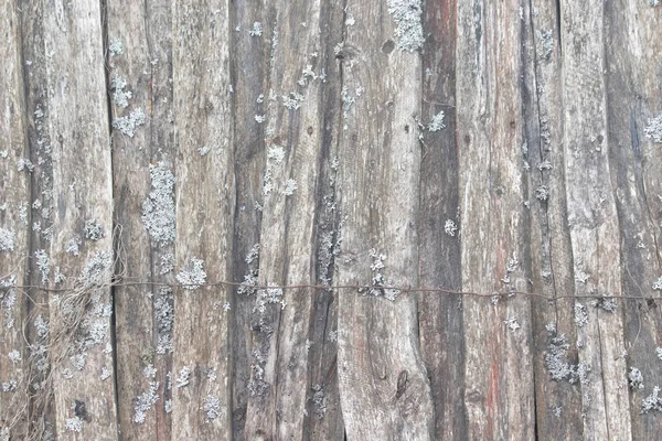 Texture Wooden Wall Gray Wooden Fence — Stock Photo, Image