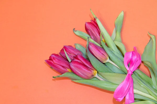 Flores Tulipán Sobre Fondo Naranja — Foto de Stock