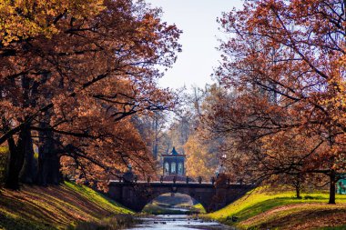 Şehir sonbahar parkında köprü. Altın sonbahar 