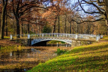Şehir sonbahar parkında köprü. Altın sonbahar 