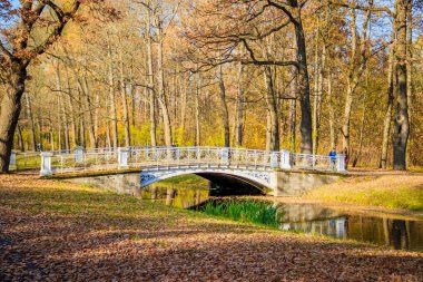 Şehir sonbahar parkında köprü. Altın sonbahar 