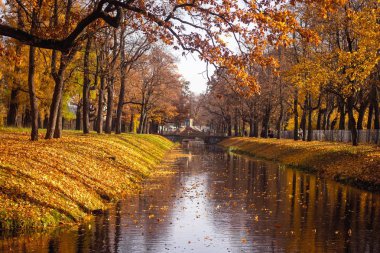 Şehir sonbahar parkında köprü. Altın sonbahar 