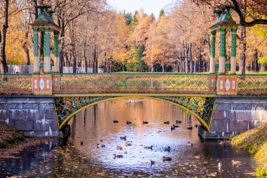 Şehir sonbahar parkında köprü. Altın sonbahar 