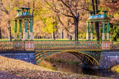Şehir sonbahar parkında köprü. Altın sonbahar 