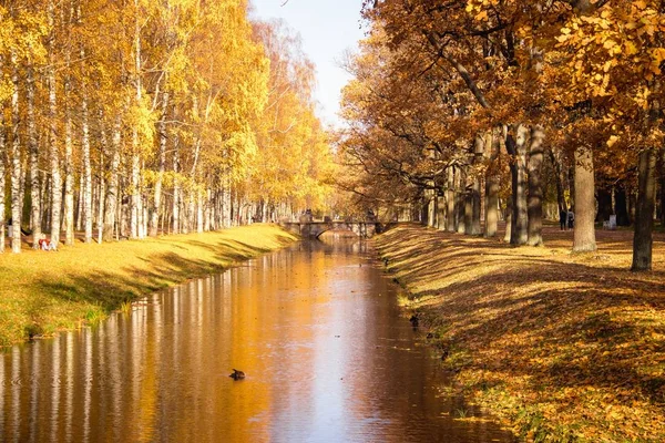 Осінні Яскраві Дерева Парку Жовте Листя — стокове фото