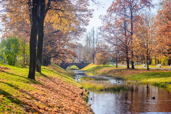 Şehir Sonbahar Parkında Köprü Altın Sonbahar — Stok fotoğraf