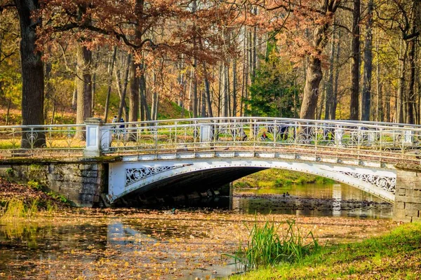 城市秋季公园的桥梁 — 图库照片