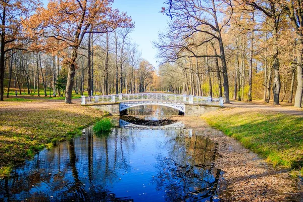 Most Jesiennym Parku Miejskim Złota Jesień — Zdjęcie stockowe