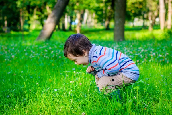 Retrato Menino Fundo Grama Rapazinho Camisola Grama Verde — Fotografia de Stock