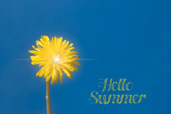 Hallo Sommer Banner Löwenzahn Gegen Den Blauen Himmel — Stockfoto