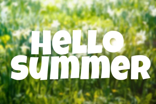 Hello Summer Banner New Season Welcome Card Text Photo Photo — Stock Photo, Image