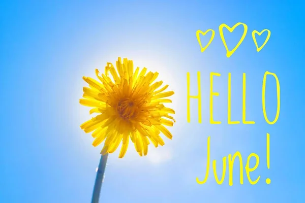 横幅你好六月 新的季节 带有黄色花朵的照片上的文字 — 图库照片