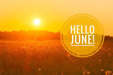 Banner Merhaba Haziran. Yeni sezon. Fotoğraftaki sarı çiçeklerle metin.