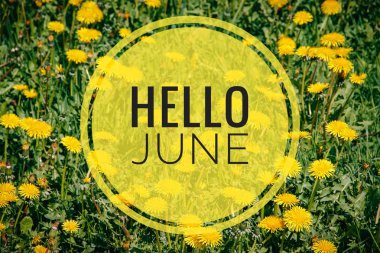 Banner Hello June. New season. Text on the photo with yellow flowers. clipart