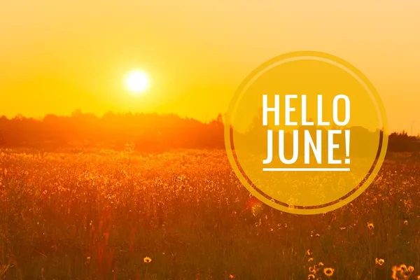 Banner Hello June. New season. Text on the photo with yellow flowers.
