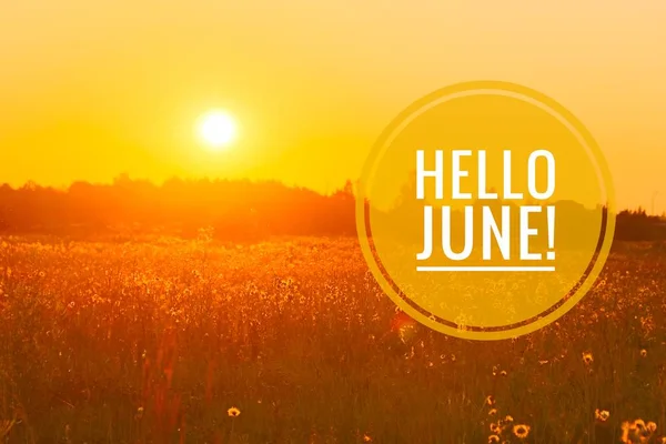 Баннер Hello June Новый Сезон Текст Фотографии Желтыми Цветами — стоковое фото