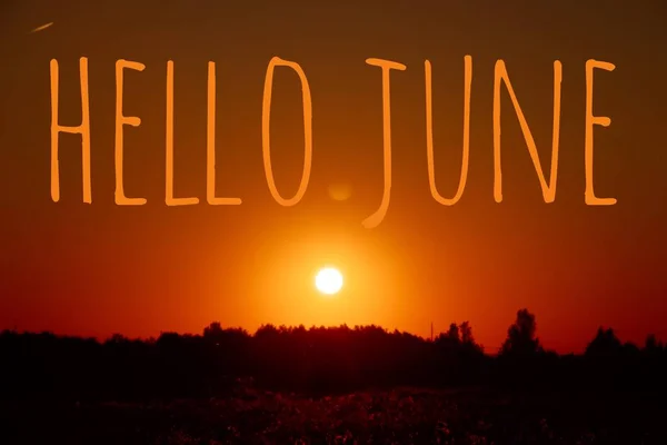 Banner Hola June Nueva Temporada Texto Foto Con Flores Amarillas — Foto de Stock