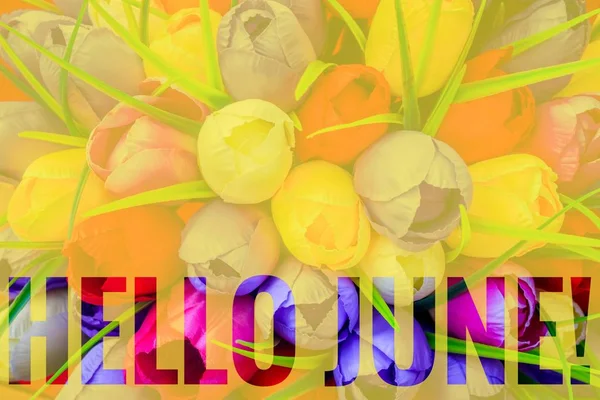 Banner Hello Juni Nieuwe Seizoen Tekst Foto Met Gele Bloemen — Stockfoto