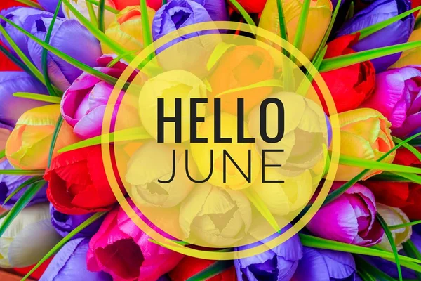 Banner Hello June. New season. Text on the photo with yellow flowers.