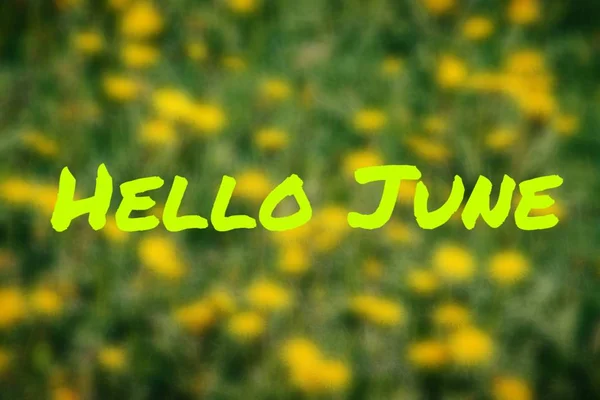 Banner Hola June Nueva Temporada Texto Foto Con Flores Amarillas — Foto de Stock