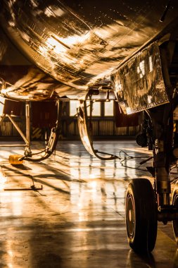 Pulkovo'ya iniş takımı. 28 Kasım 2018 - Rusya St. Petersburg