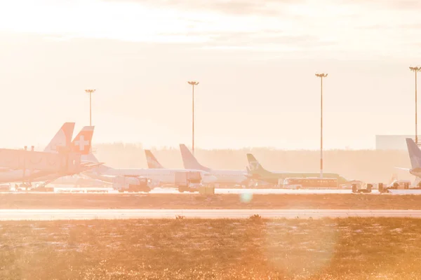 Plane Pulkovo Airport Sunset November 2018 Russia Petersburg — Stock Photo, Image