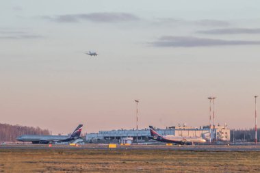 Pulkovo Havaalanı kışın. 28 Kasım 2018 - Rusya, St. Petersburg