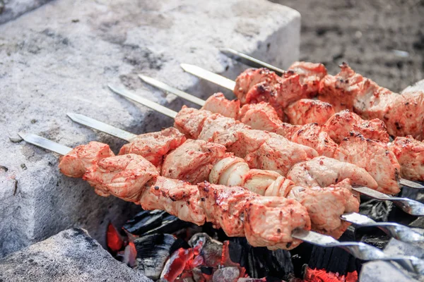 Carne Porco Shish Kebab Espetos Carne Marinada — Fotografia de Stock