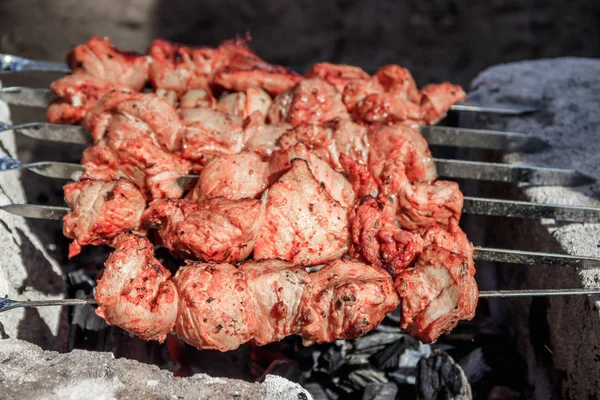 Carne Porco Shish Kebab Espetos Carne Marinada — Fotografia de Stock