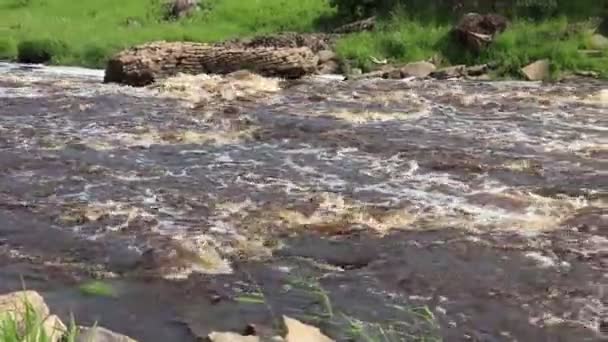 サブリンスキーの滝小さな滝滝の茶色の水ロシアの滝 川のしきい値 強い水の流れ 水のジェット 高速電流 — ストック動画