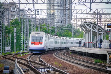 Yüksek hızlı tren Allegro. Hızlı tren. Toplu taşıma. Tren. Yolcu taşımacılığı. Rusya, St. Petersburg 31 Mayıs 2019 platformu Lanskaya
