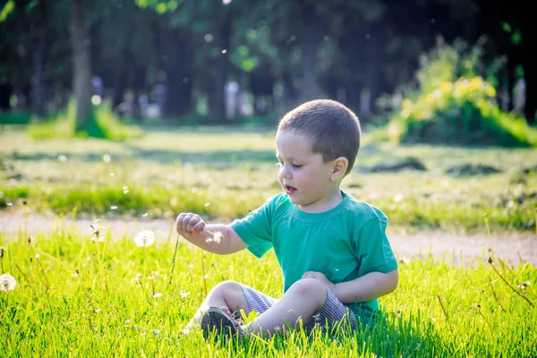 Menino Soprando Dente Leão Relaxe Verão — Fotografia de Stock