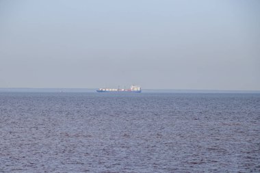 Finlandiya Körfezi. Berrak rüzgarsız havalarda yaz denizi. Dalgalar olmadan deniz. Sığ su