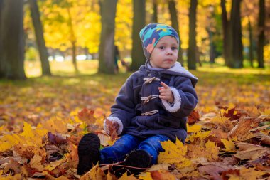 Çocuk sonbaharda parkta yaprakları oturur. 