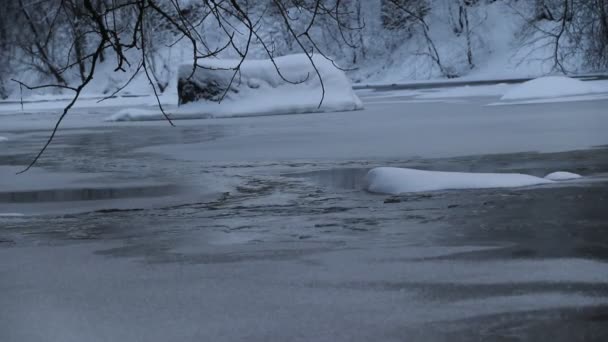 冬天有雪的河 黎明时分的河流 从水中蒸发 冰冷的冬天冬天水没有结冰 俄罗斯的河流 — 图库视频影像