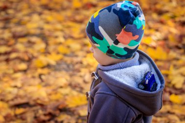 Çocuk sonbaharda parkta yaprakları oturur
