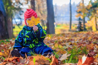 Çocuk sonbaharda parkta yaprakları oturur. 