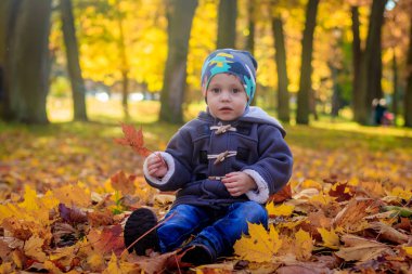Çocuk sonbaharda parkta yaprakları oturur. 