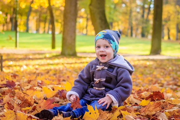 その少年は公園の紅葉に座っている ロイヤリティフリーのストック写真