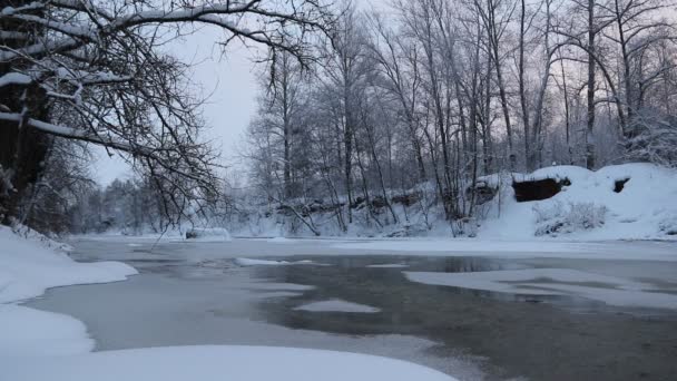 Río Invierno Con Nieve Paisaje Pintoresco — Vídeo de stock