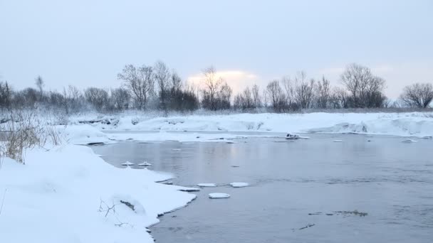 冬天有雪的河 黎明时分的河流 从水中蒸发 冰冷的冬天冬天水没有结冰 — 图库视频影像
