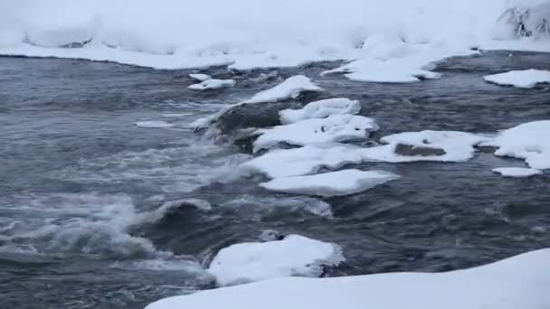 Rzeka Zimą Śniegiem Rzeka Świcie Odparowanie Wody Mroźna Zima Woda — Wideo stockowe