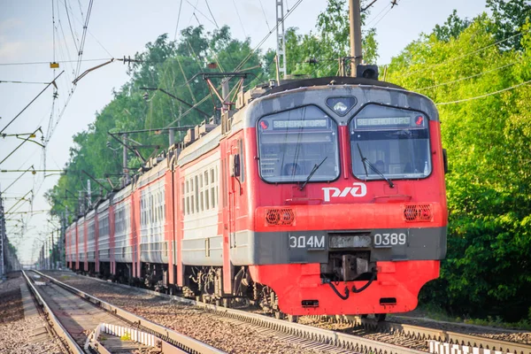 夏の森に沿ってレール上の赤いロシアの列車 ロシア サンクトペテルブルク 2019 — ストック写真