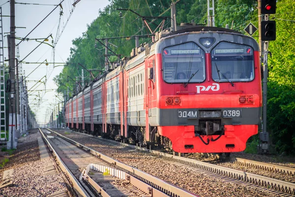 夏の森に沿ってレール上の赤いロシアの列車 ロシア サンクトペテルブルク 2019 — ストック写真