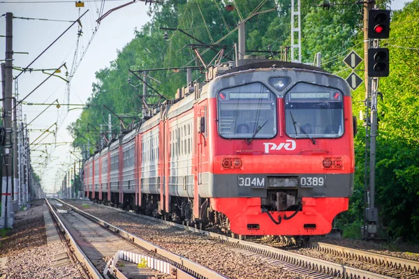 红色俄罗斯列车沿着夏季森林 俄罗斯 圣彼得堡 2019年5月31日 — 图库照片