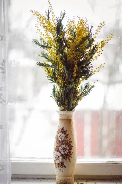 Branches Yellow Mimosa Flowers Spring Bouquet Vase — Stock Photo, Image