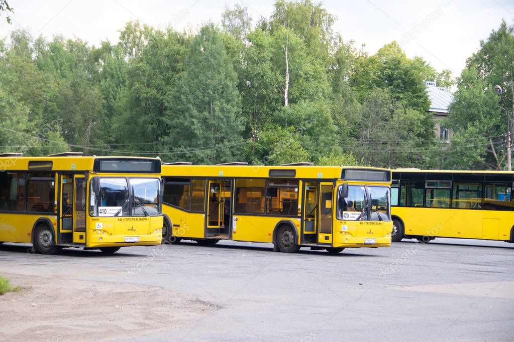alenka2194