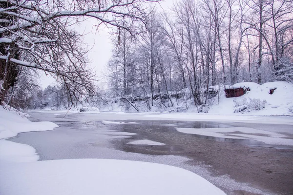 Beautiful Landscape River Winter Snowy Trees Stock Picture