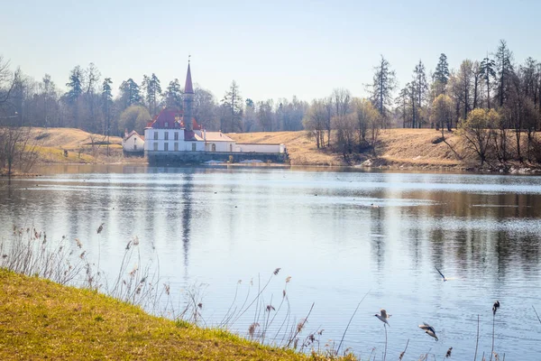 Härligt Landskap Spring Parkerar Med Gröna Trees Och Laken Solig — Stockfoto